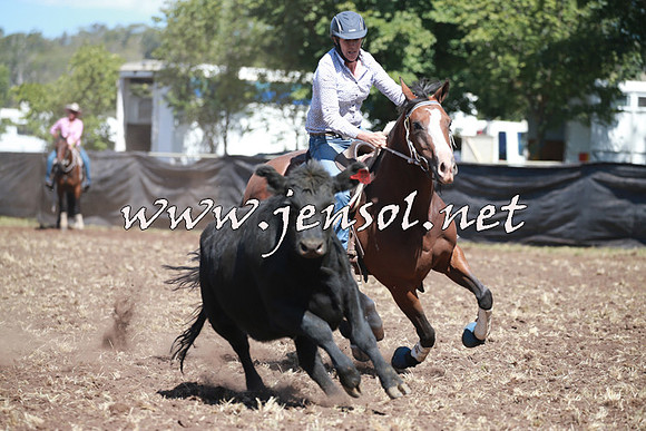 NimmitabelCampdraft2016_0269