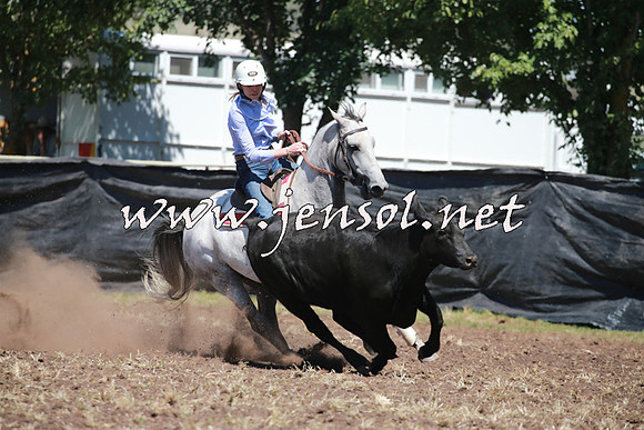 NimmitabelCampdraft2016_0179