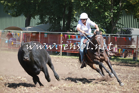 NimmitabelCampdraft2016_0245