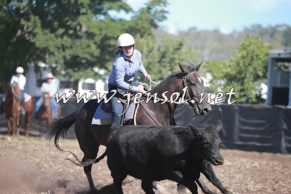 NimmitabelCampdraft2016_0368