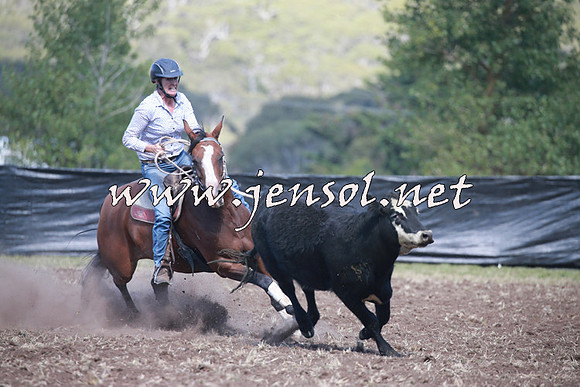 NimmitabelCampdraft2016_0338