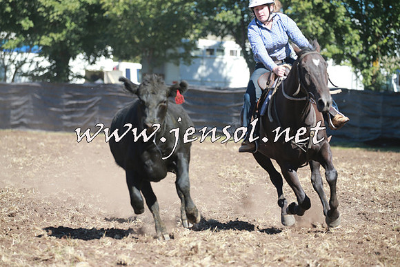 NimmitabelCampdraft2016_0377