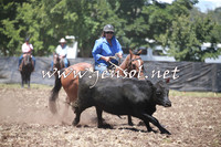 NimmitabelCampdraft2016_0087