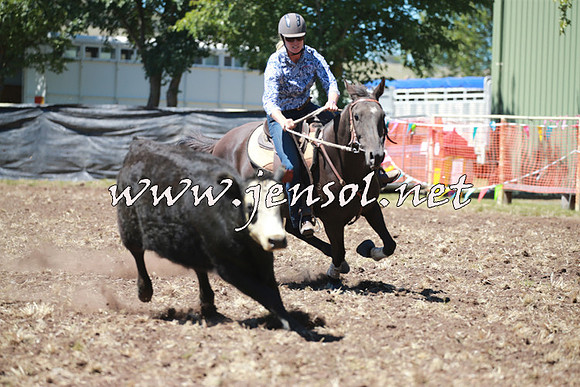 NimmitabelCampdraft2016_0011
