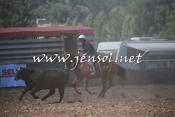 NimmitabelCampdraft2016_0233