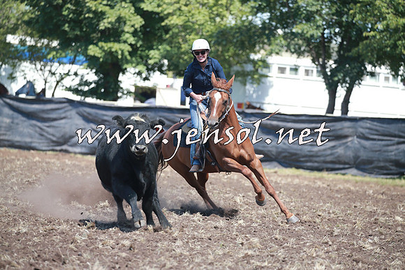NimmitabelCampdraft2016_0226