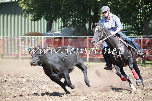 NimmitabelCampdraft2016_0218