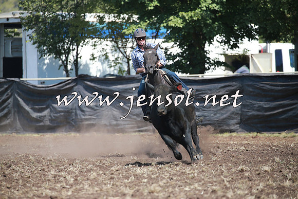 NimmitabelCampdraft2016_0327