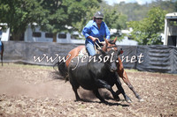 NimmitabelCampdraft2016_0096
