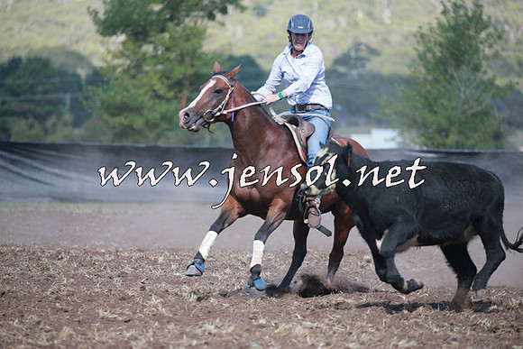 NimmitabelCampdraft2016_0345