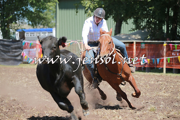 NimmitabelCampdraft2016_0202