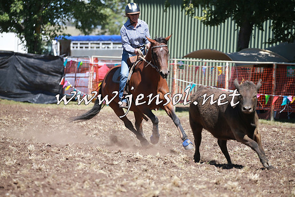 NimmitabelCampdraft2016_0203