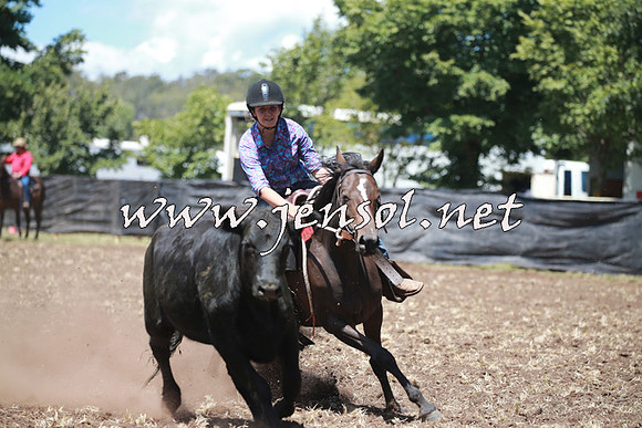 NimmitabelCampdraft2016_0084