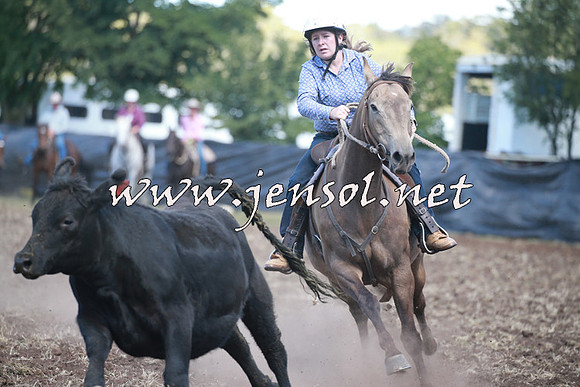 NimmitabelCampdraft2016_0286