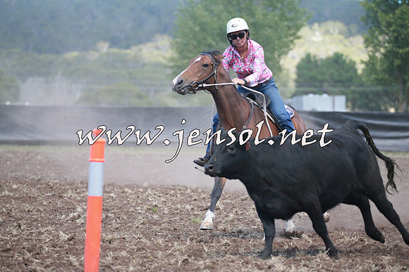 NimmitabelCampdraft2016_0282