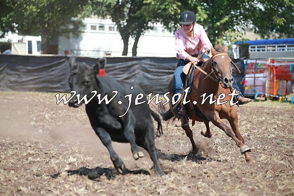 NimmitabelCampdraft2016_0259