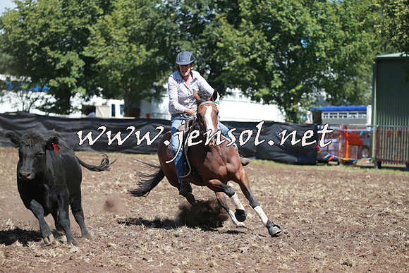 NimmitabelCampdraft2016_0271