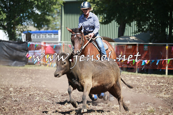 NimmitabelCampdraft2016_0209