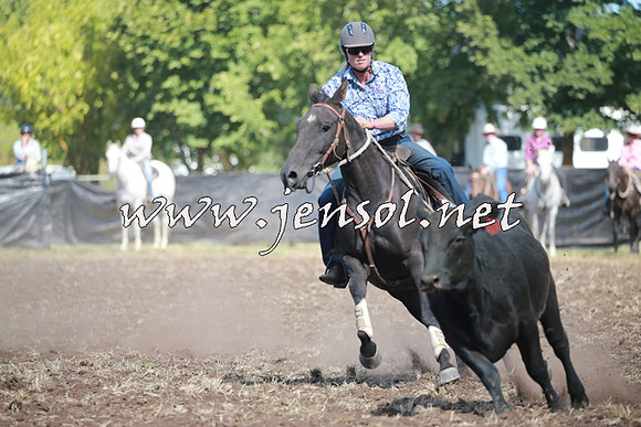NimmitabelCampdraft2016_0316