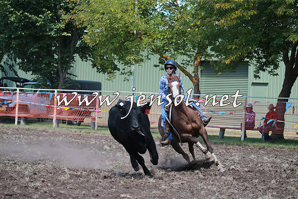 NimmitabelCampdraft2016_0061