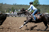 NimmitabelCampdraft2016_0056