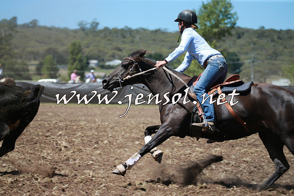 NimmitabelCampdraft2016_0056
