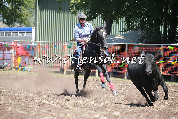 NimmitabelCampdraft2016_0215