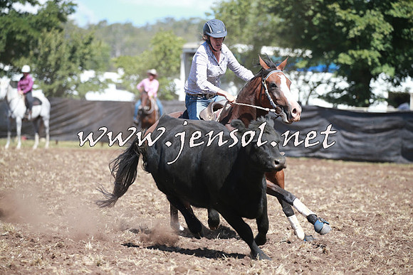NimmitabelCampdraft2016_0276