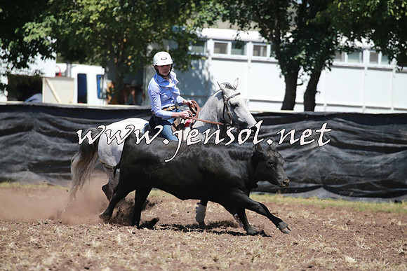 NimmitabelCampdraft2016_0181