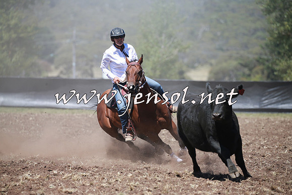 NimmitabelCampdraft2016_0140