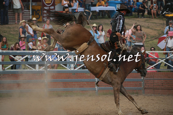 CoomaRodeo2016_2885