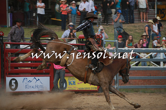 CoomaRodeo2016_2858