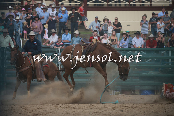 CoomaRodeo2016_2943