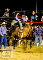CoomaRodeo2014_2464