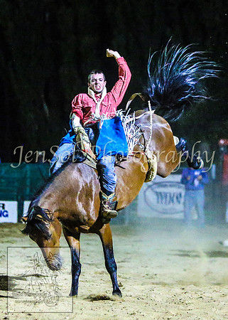CoomaRodeo2014_2517