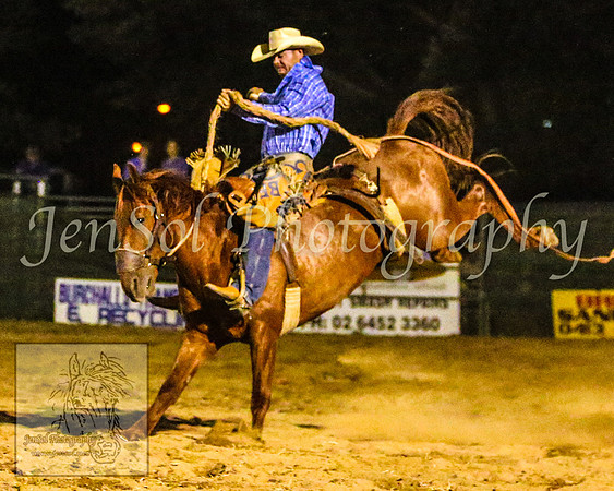 CoomaRodeo2014_2612
