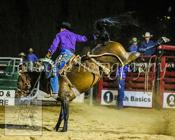 CoomaRodeo2014_2607