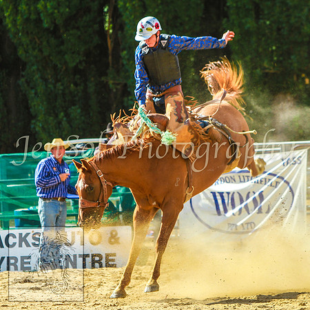 CoomaRodeo2014_KJS_0667