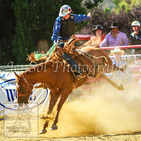 CoomaRodeo2014_KJS_0670