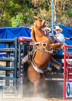 CoomaRodeo2014_1980