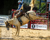 CoomaRodeo2014_1511