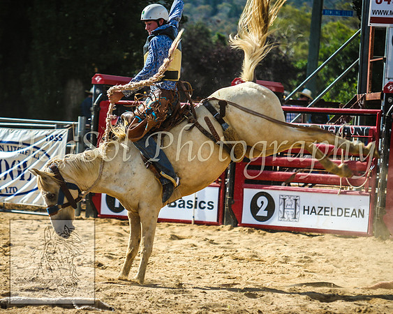 CoomaRodeo2014_1511