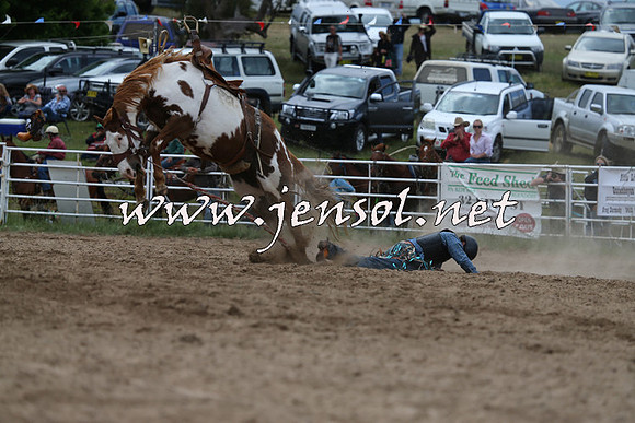 BungendoreRodeo2015_1370