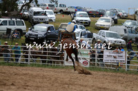 Novice Broncs