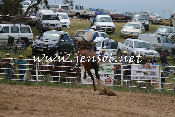 BungendoreRodeo2015_1405