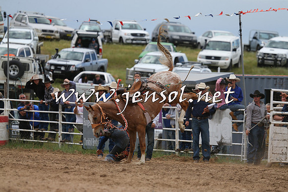 BungendoreRodeo2015_1387