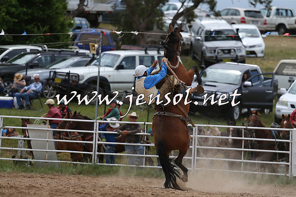 BungendoreRodeo2015_1421