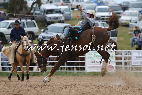 BungendoreRodeo2015_1558