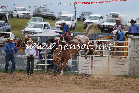 BungendoreRodeo2015_1376
