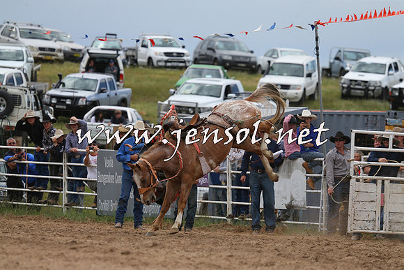 BungendoreRodeo2015_1385